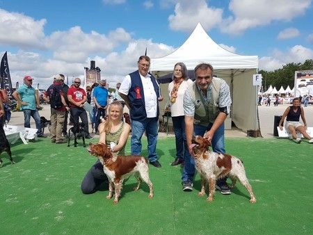 Resultats exposition GAME FAIR